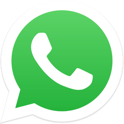 Send WhatsApp Query